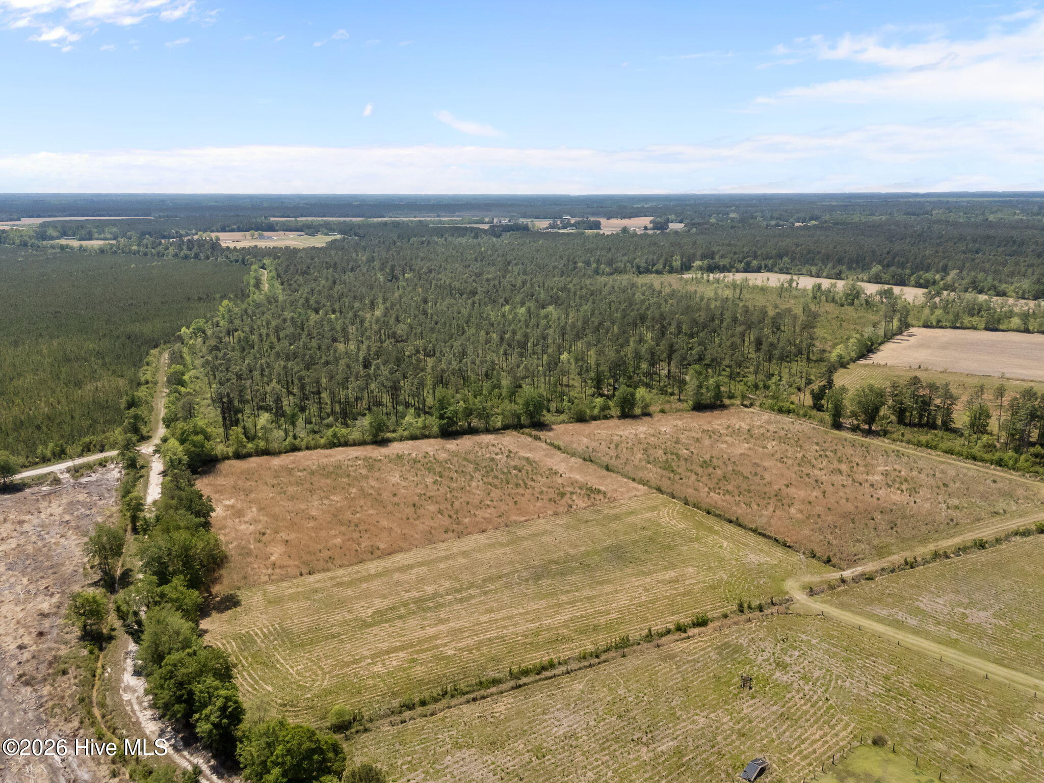 7529 Sidney-cherry Grove Road Property Photo 5