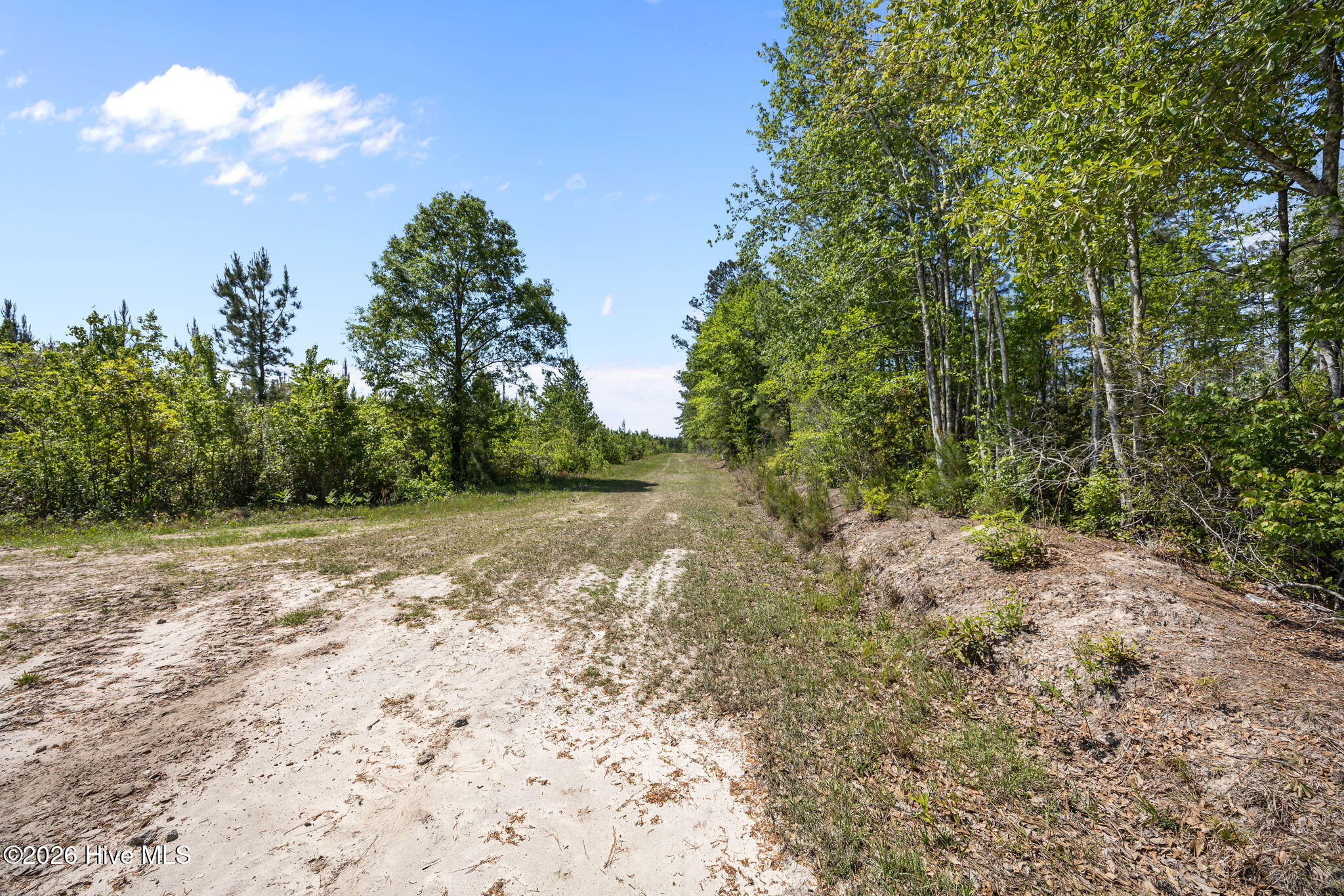 7529 Sidney-cherry Grove Road Property Photo 13