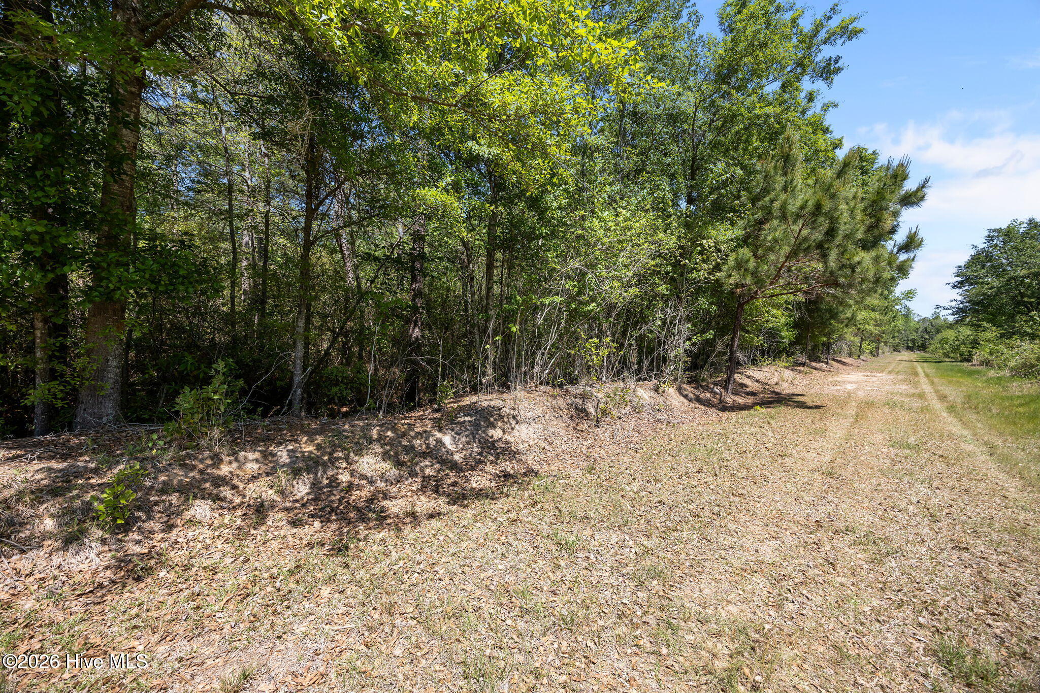 7529 Sidney-cherry Grove Road Property Photo 15