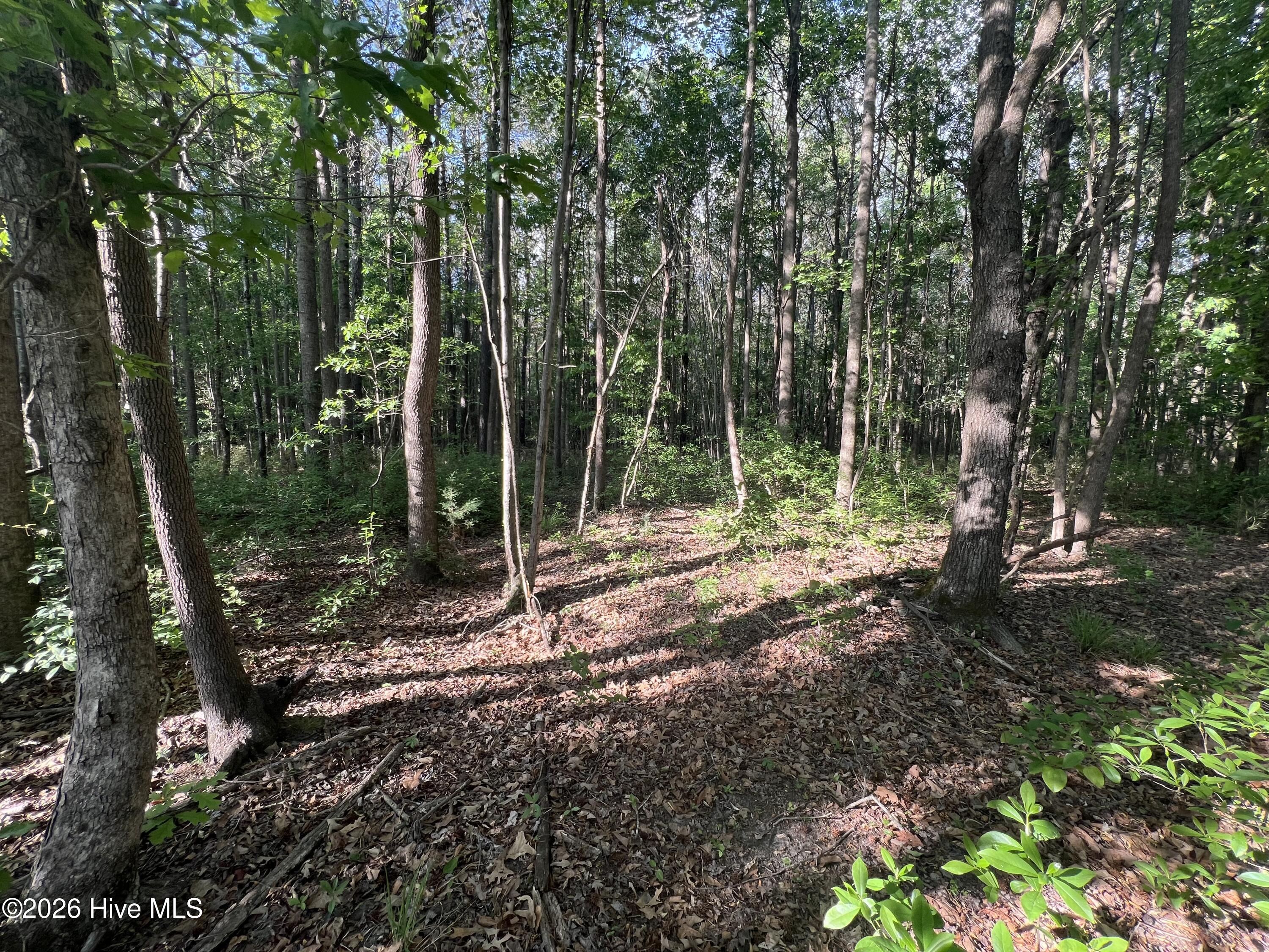 0 Tract 1 Nc 30 Property Photo 10