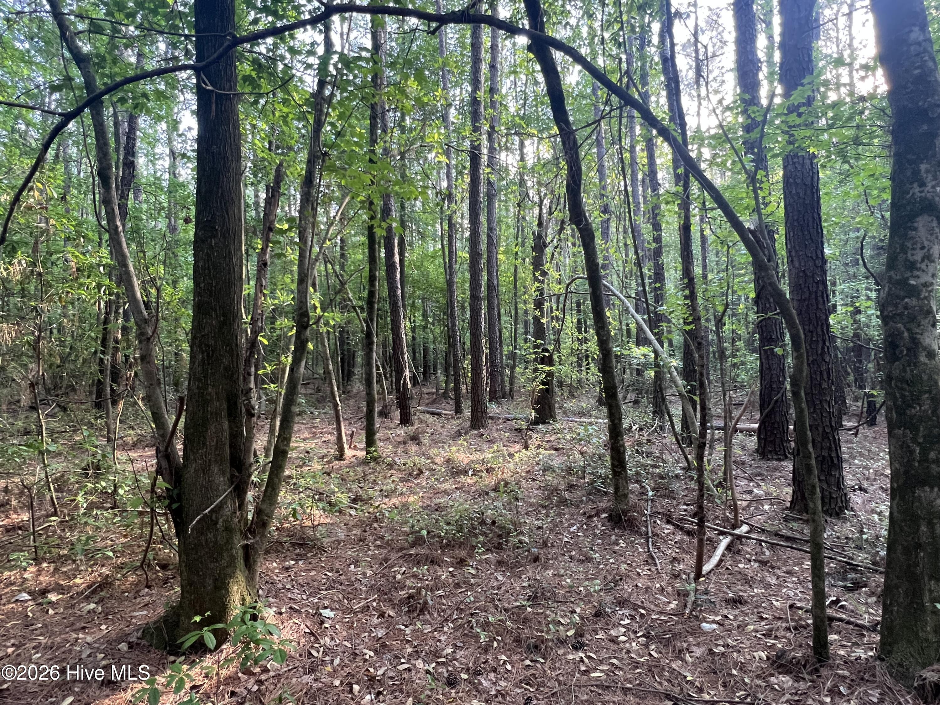 0 Tract 1 Nc 30 Property Photo 11