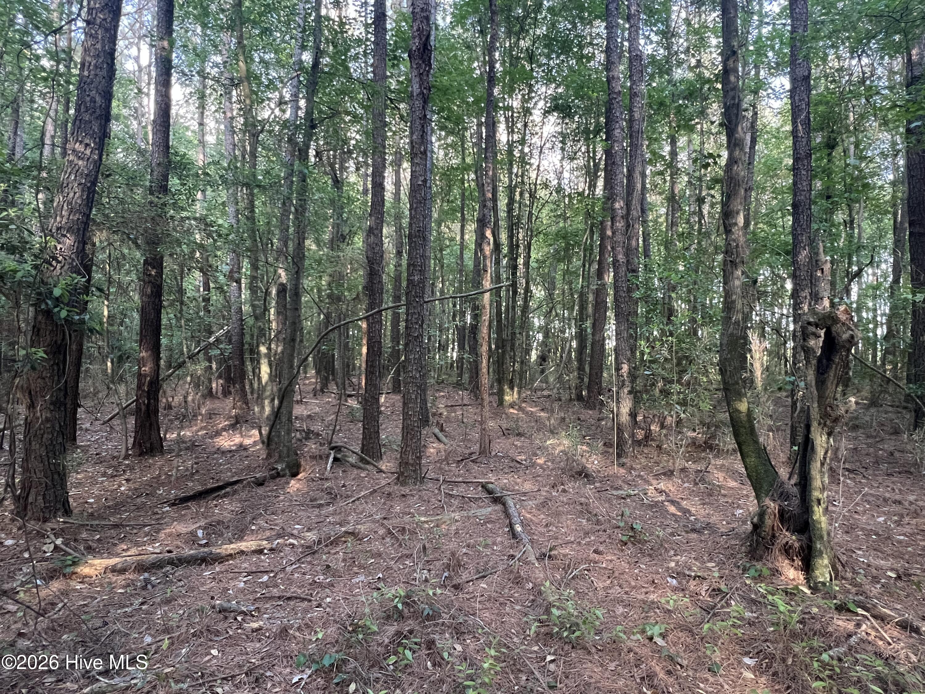 0 Tract 1 Nc 30 Property Photo 12