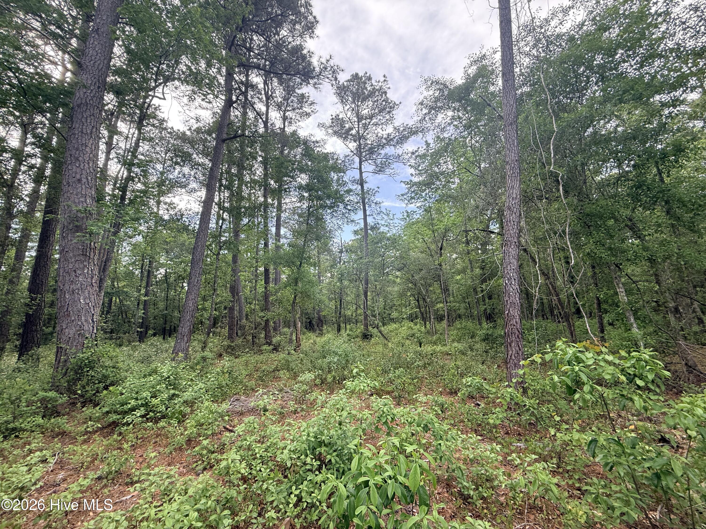 Lot 6 Peach Court Property Photo 8