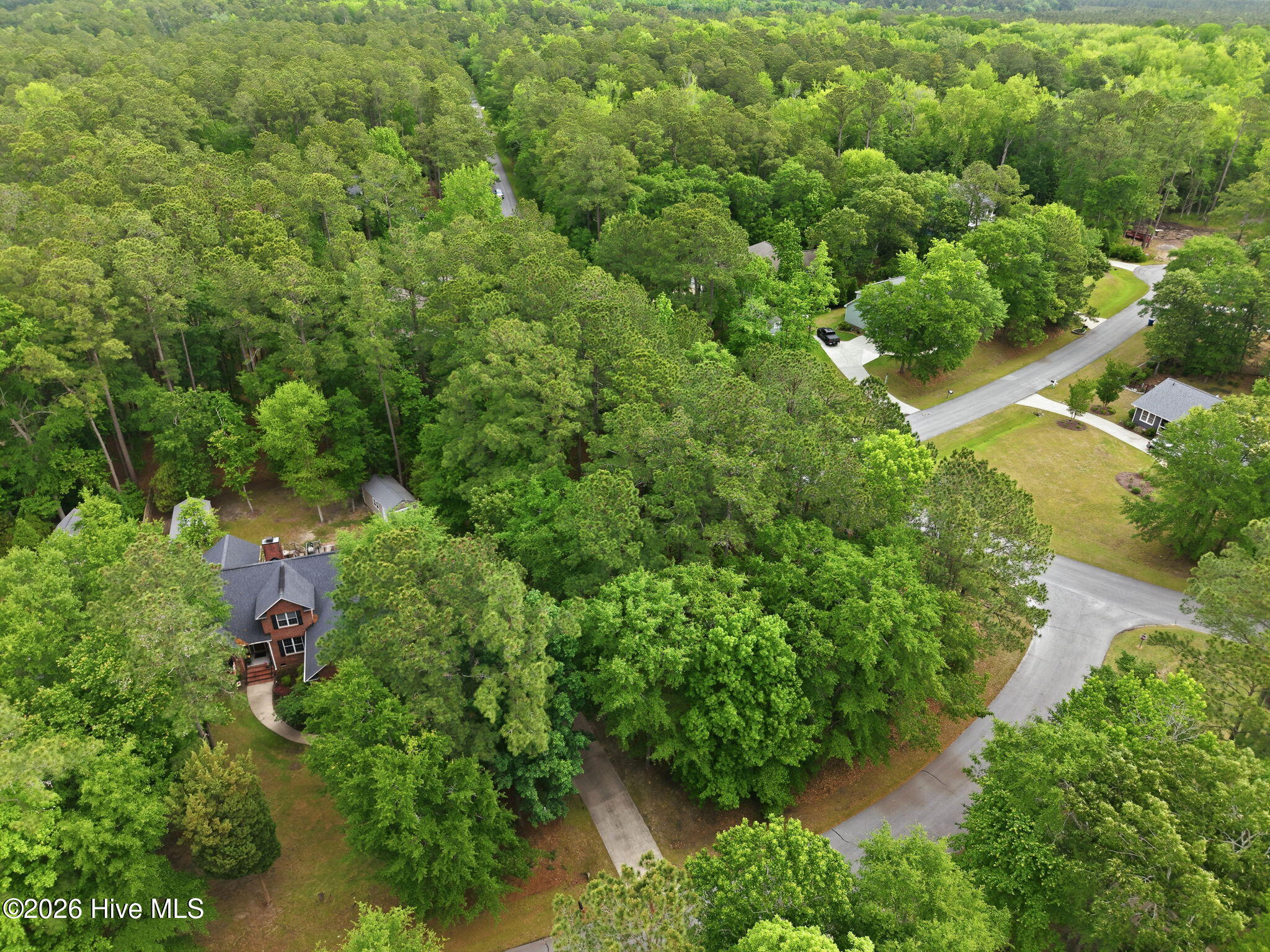 100 Pamlico River Drive Property Photo 9