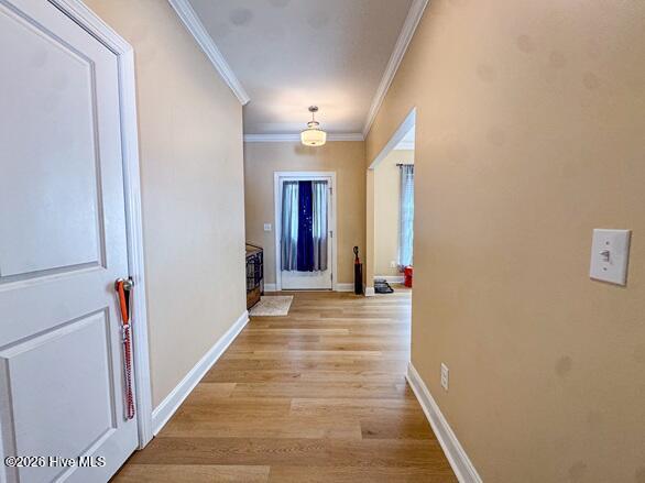 127 Ascot Property Photo 7