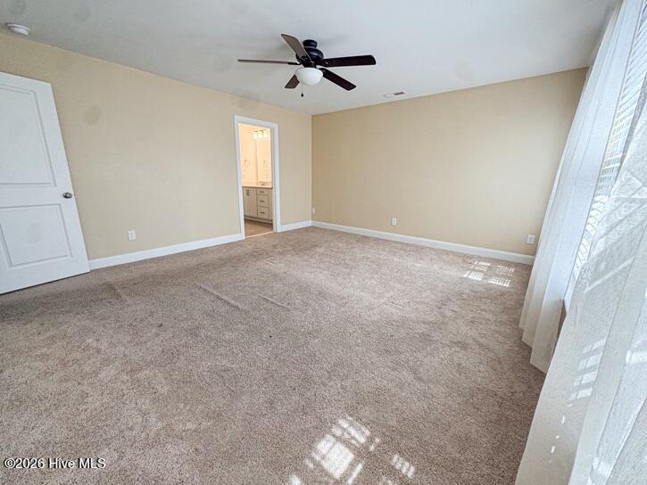 127 Ascot Property Photo 21