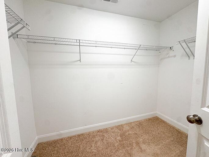 127 Ascot Property Photo 25