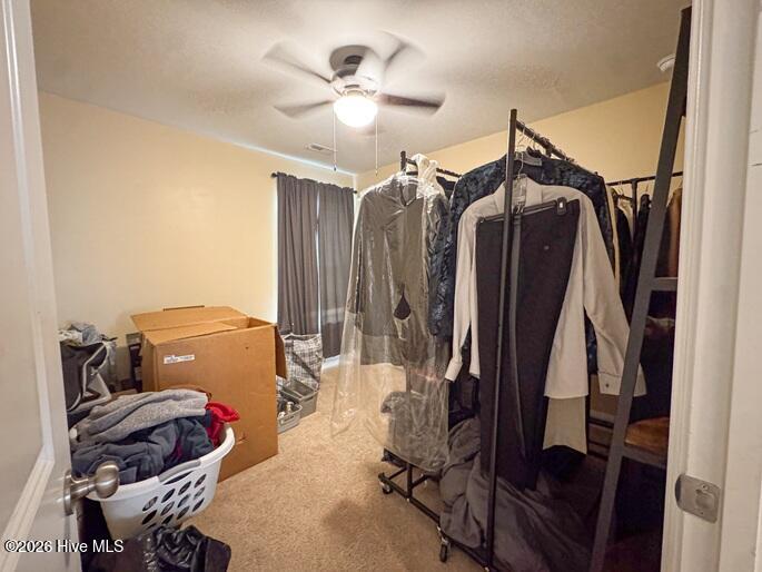 127 Ascot Property Photo 30