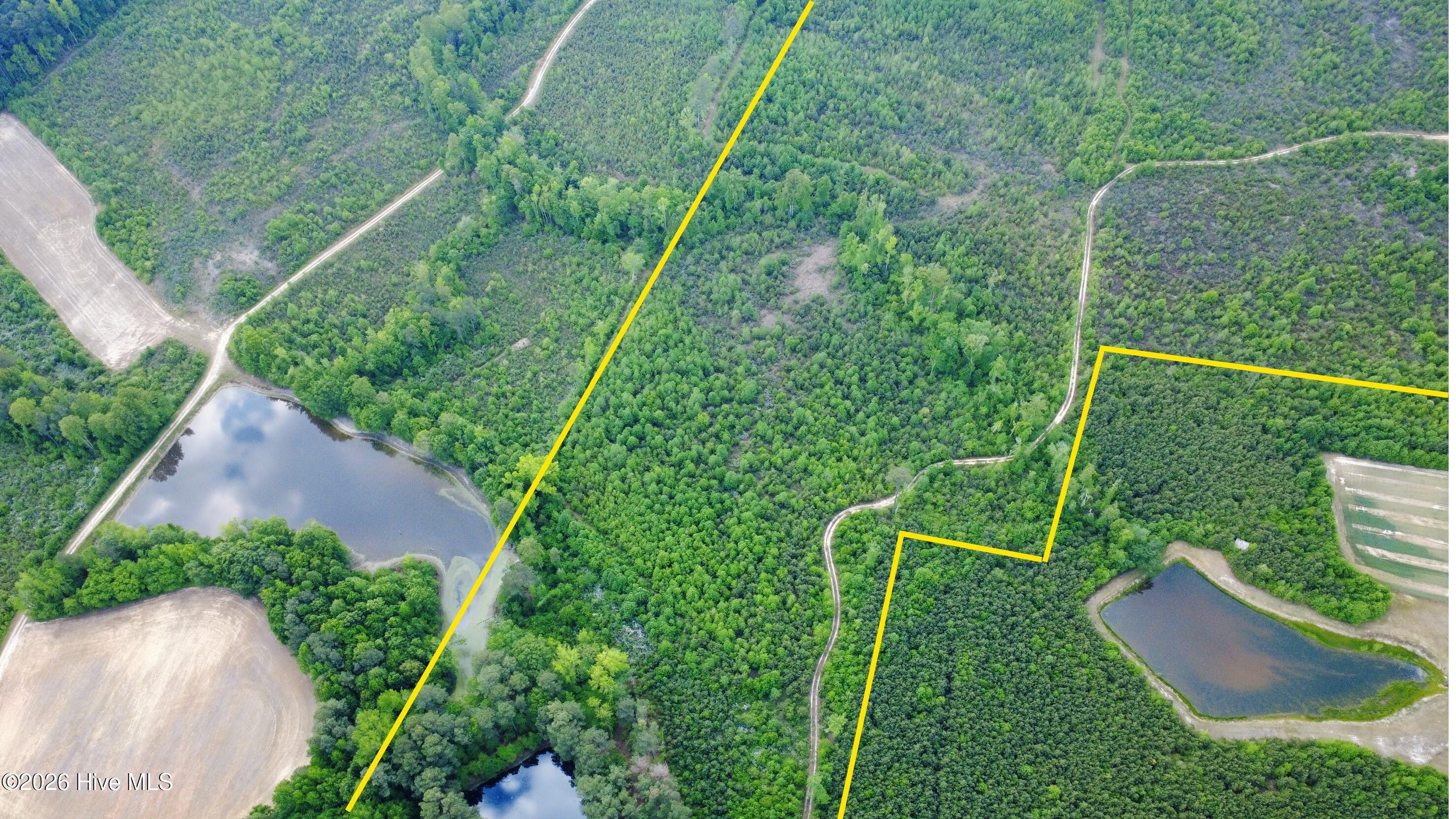 5570 Lancaster Store Road Property Photo 3