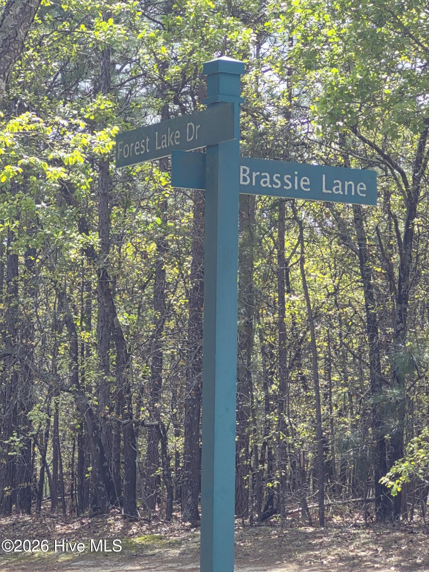 4 Brassie Lane Property Photo 5