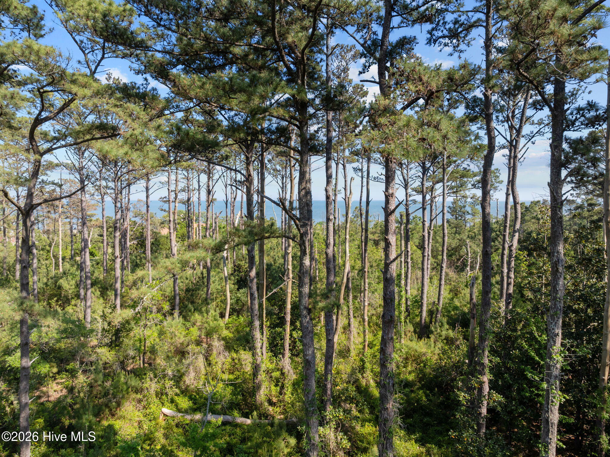 1369 Army Camp Road Property Photo 3