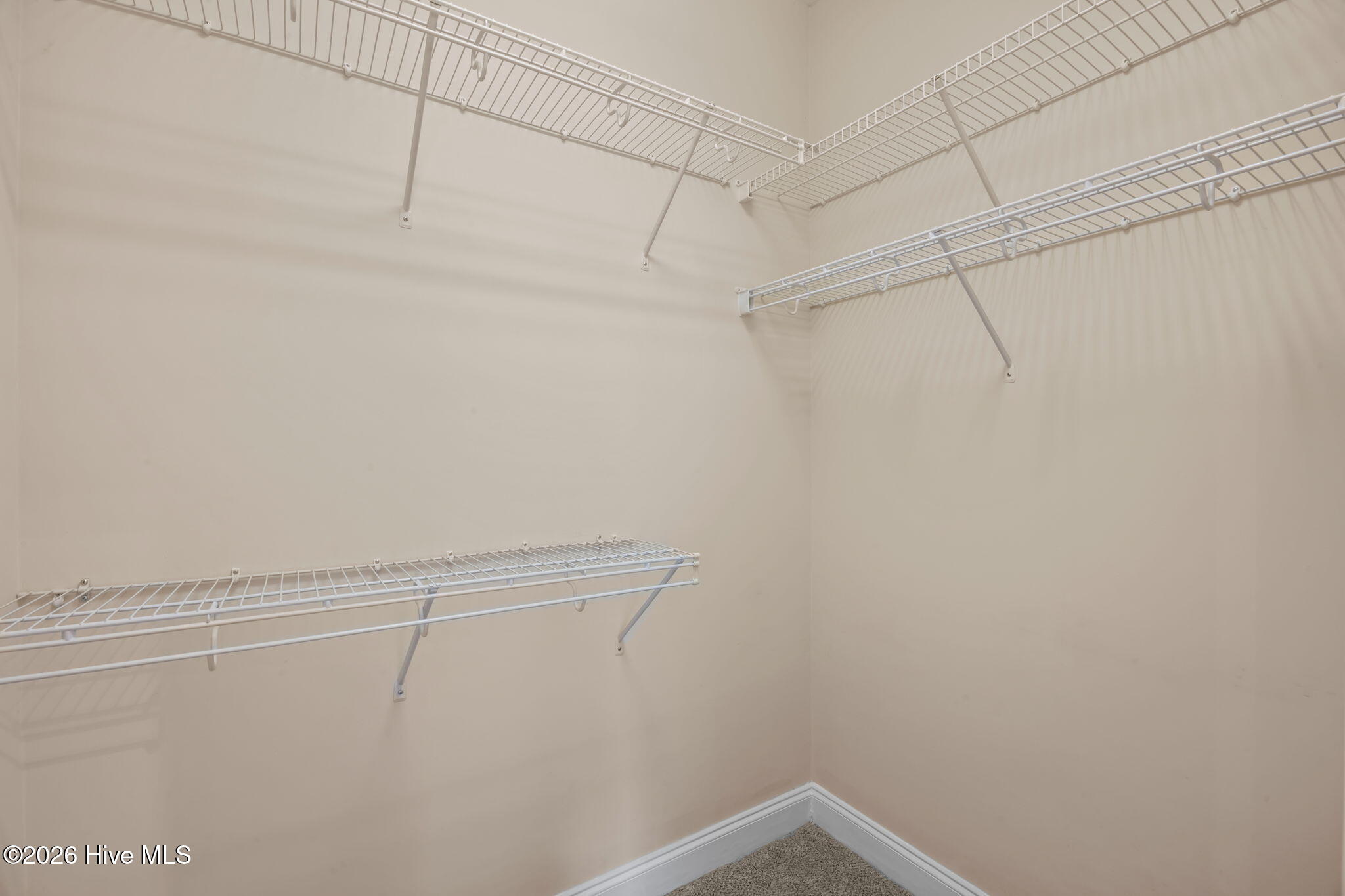 3008 Olde Towne Place Property Photo 48