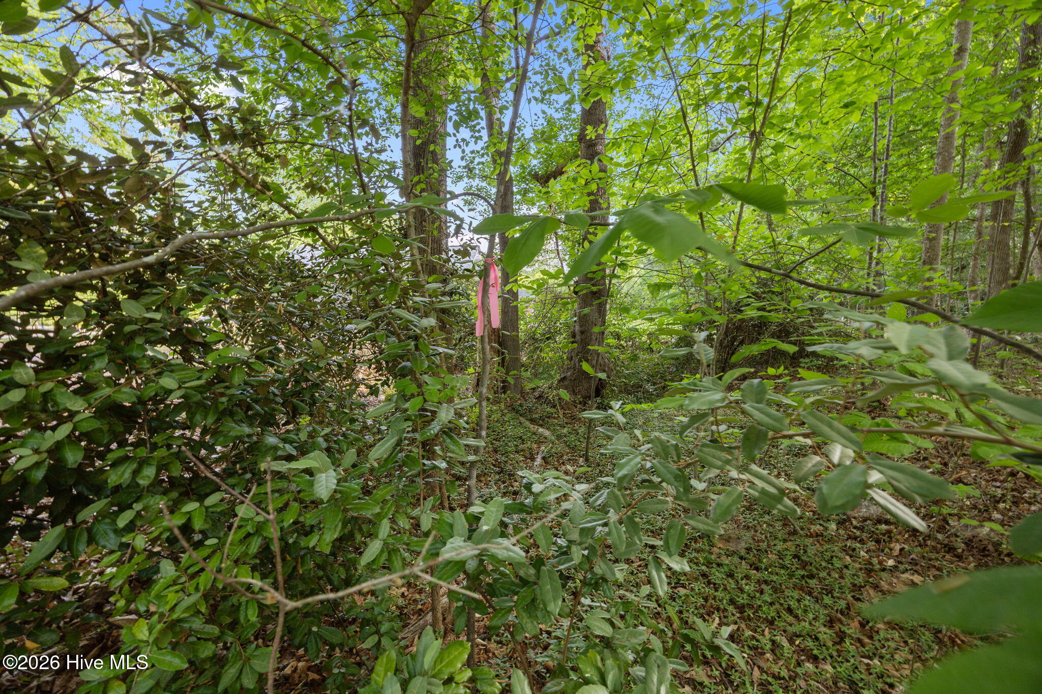000 Hayley Street Property Photo 14
