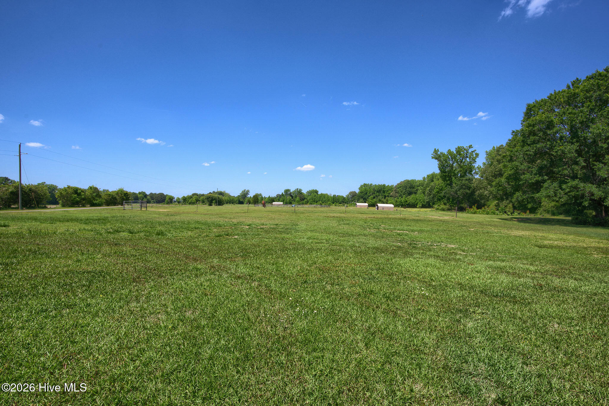389 Beulaville Highway Property Photo 109