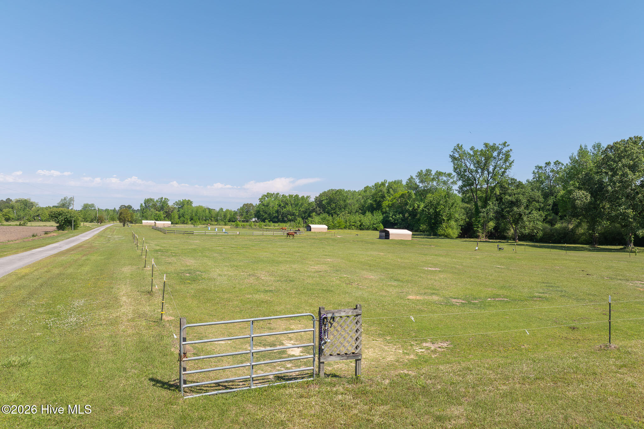 389 Beulaville Highway Property Photo 110