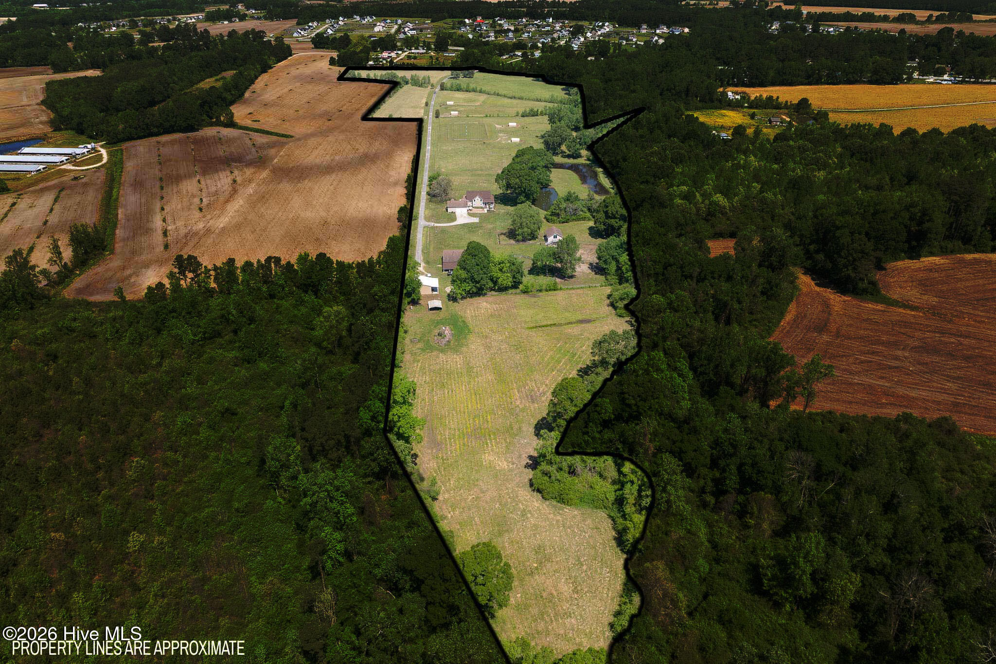 389 Beulaville Highway Property Photo 118
