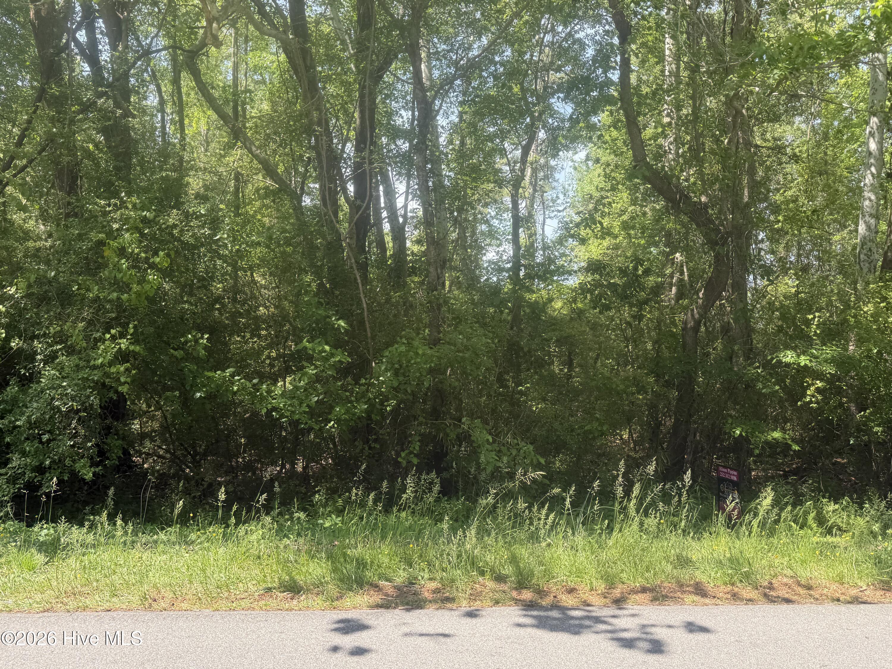 218 Colony Drive Property Photo 1