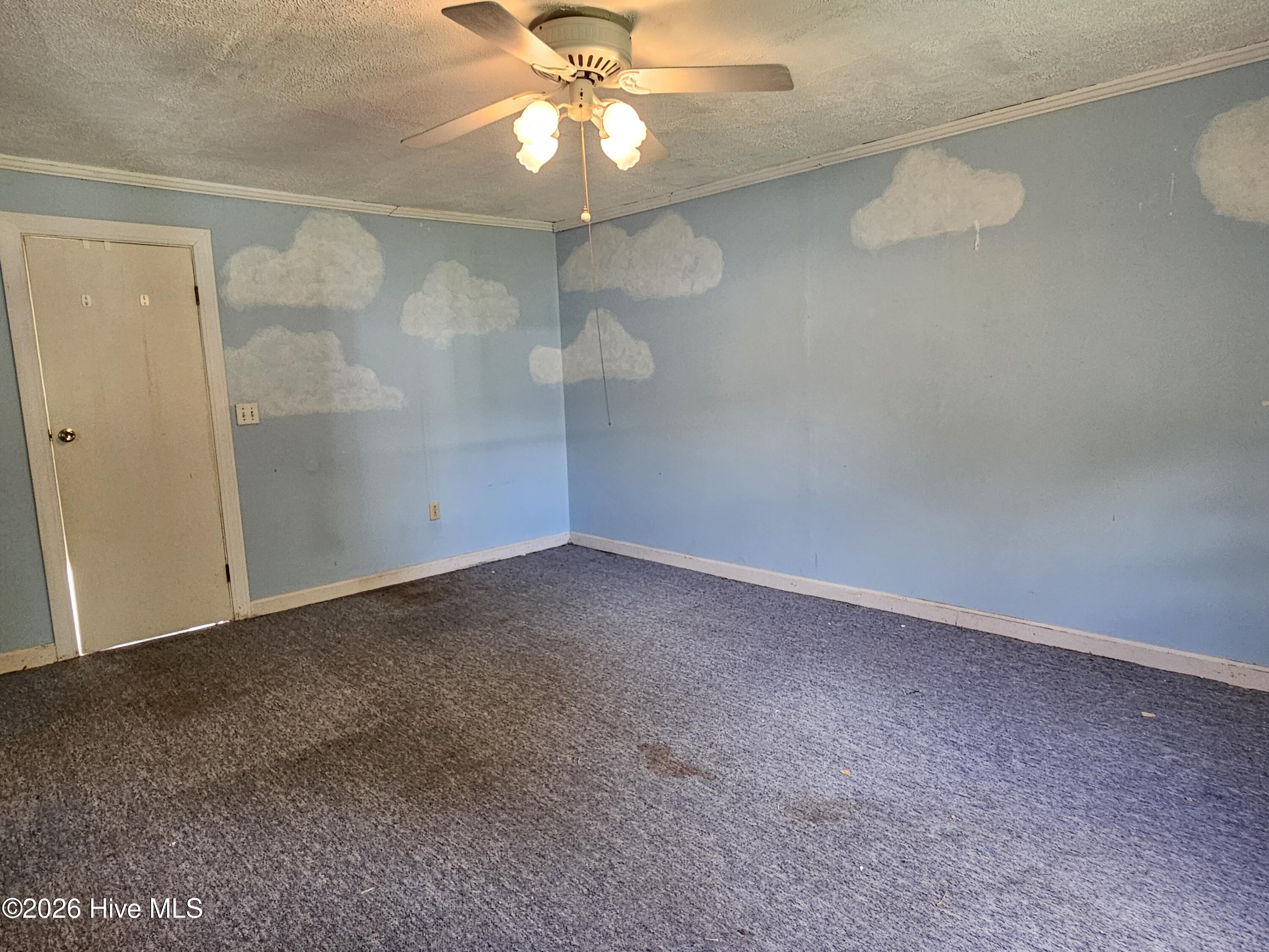 405 Lafayette Street Property Photo 25