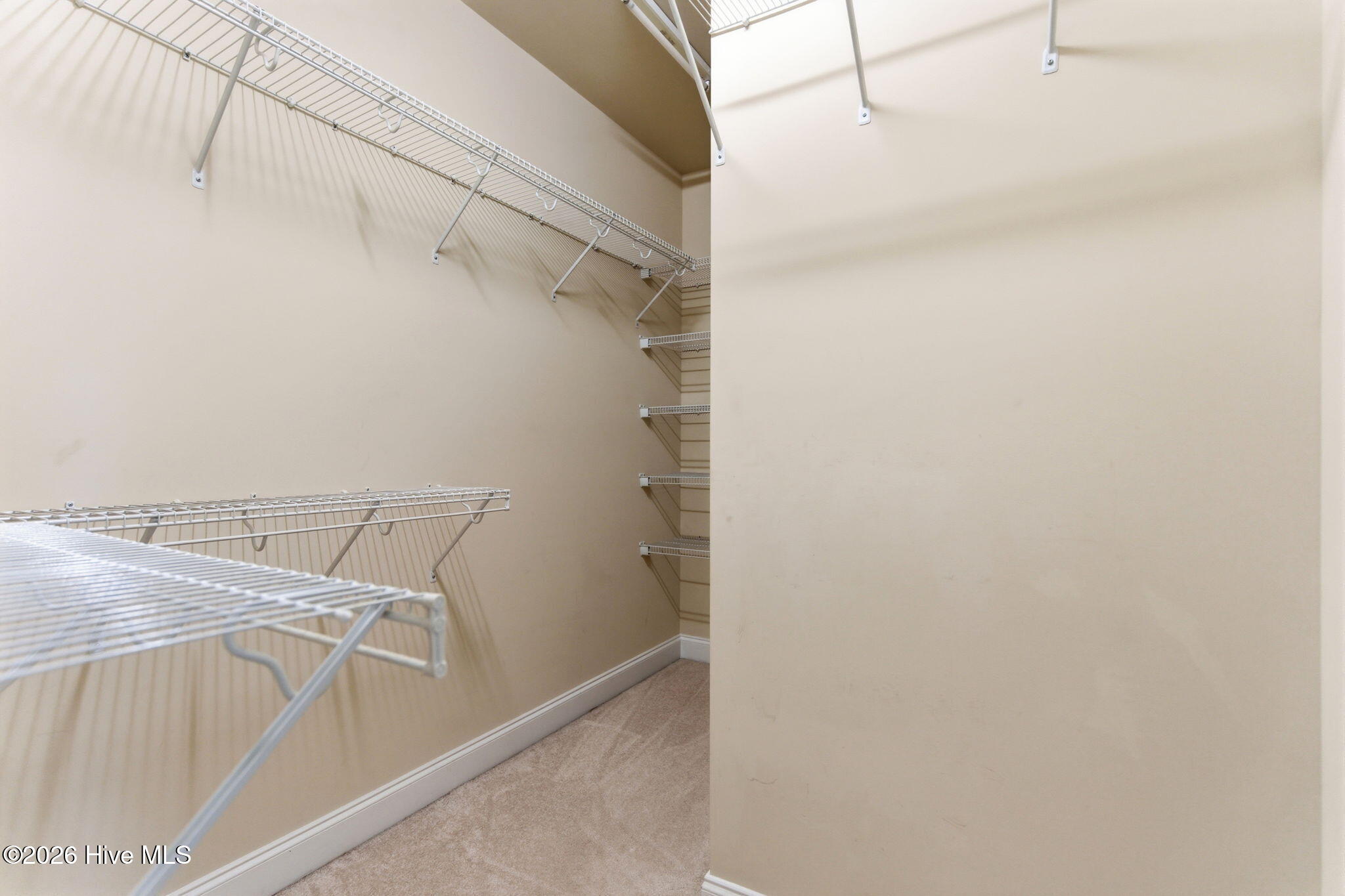 1254 Charleston Common Drive Property Photo 44