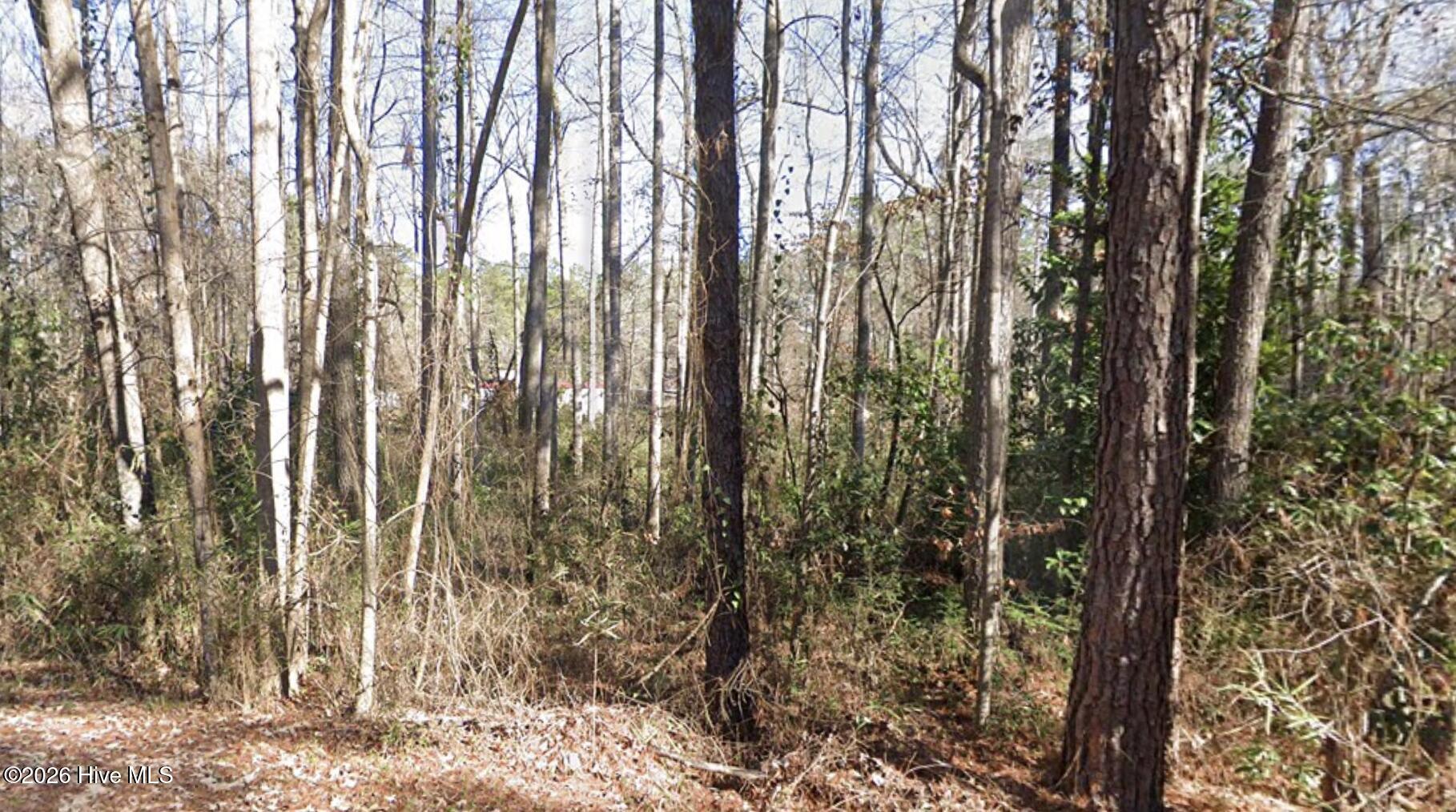 1669 10 Rainey Drive Property Photo 2