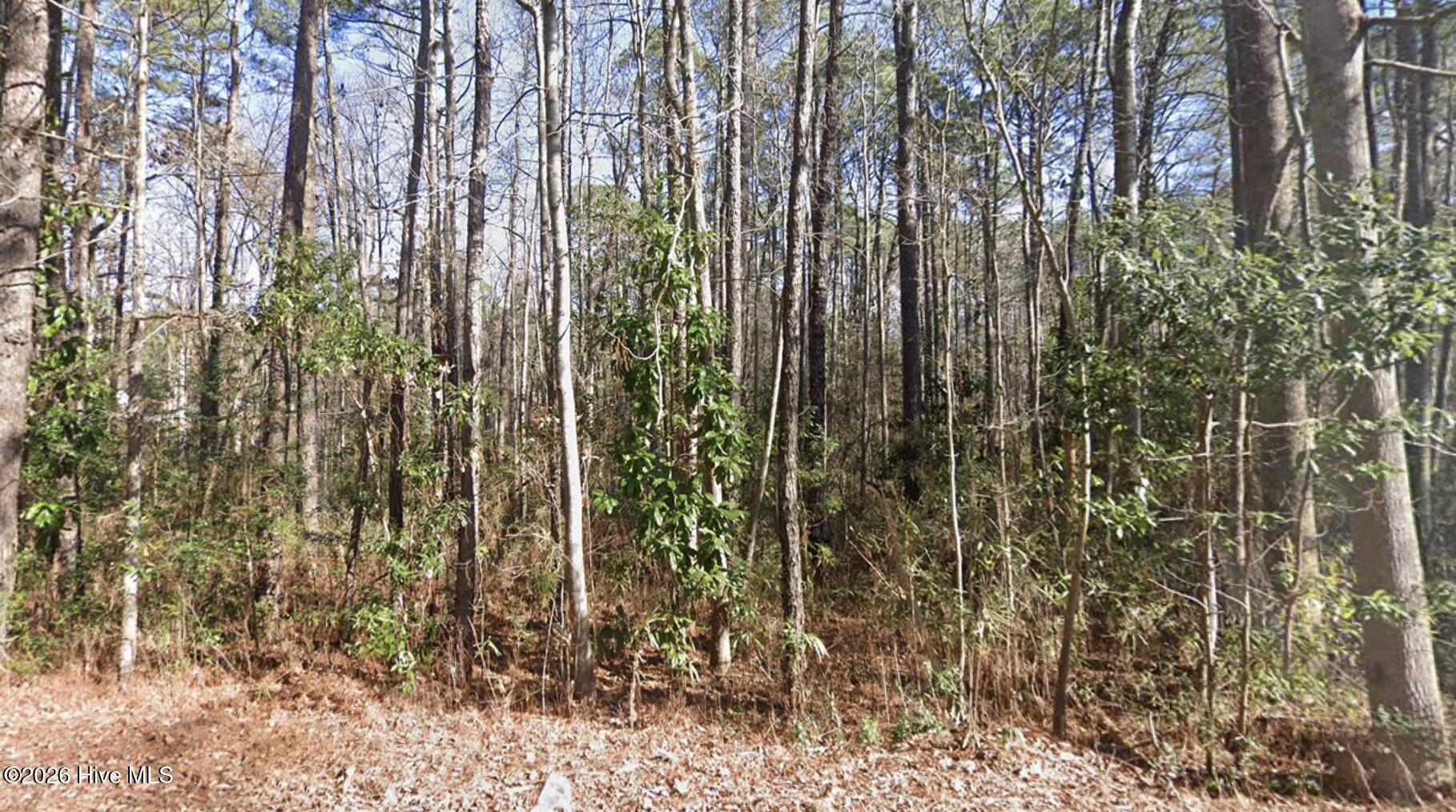 1669 10 Rainey Drive Property Photo 3