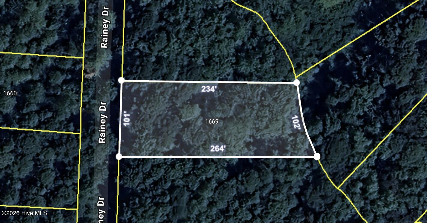 1669 10 Rainey Drive Property Photo 4