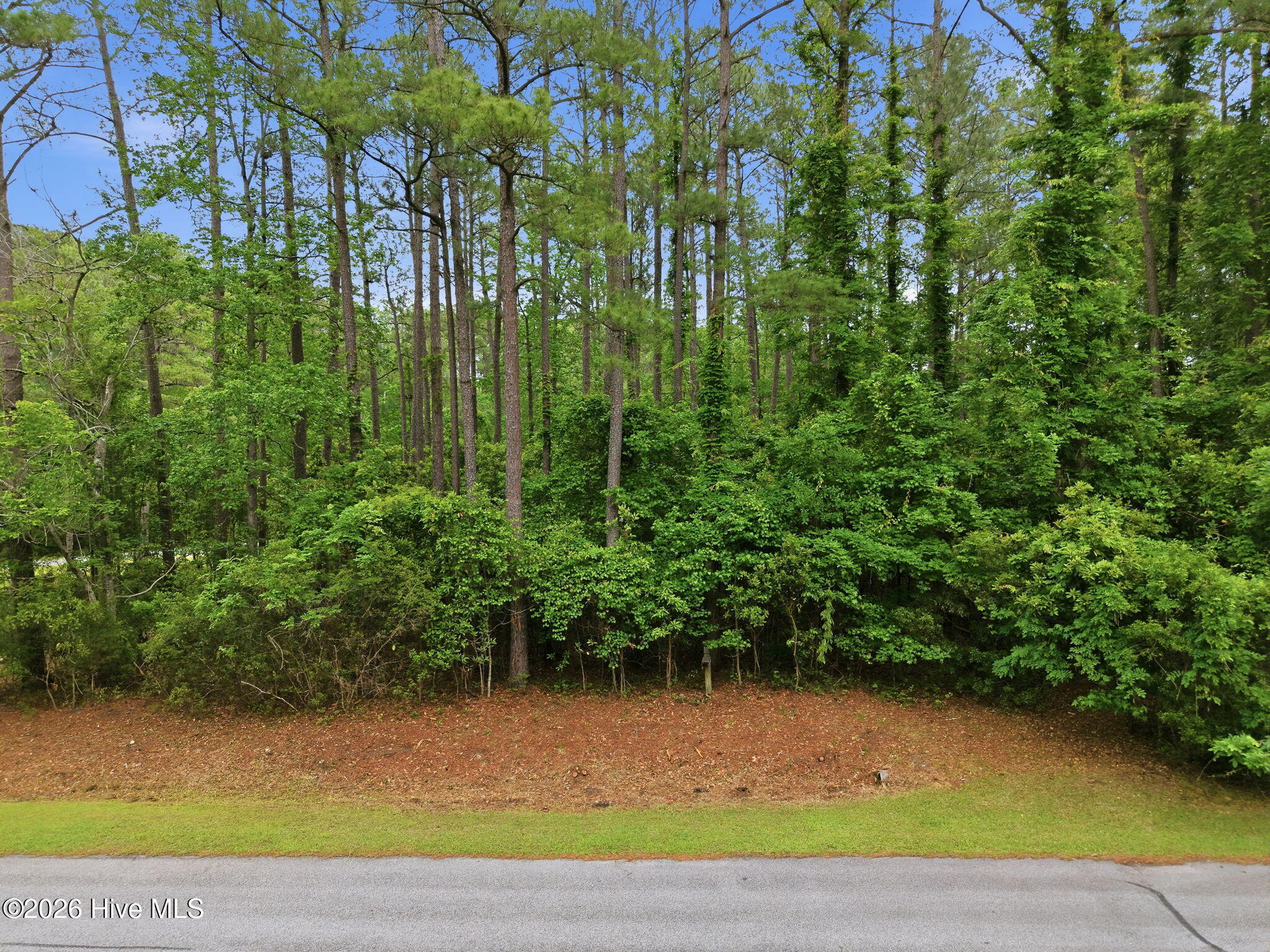 199 Live Oak Lane Property Photo 3