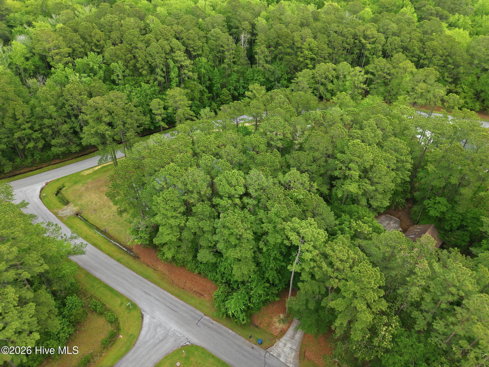 199 Live Oak Lane Property Photo 7