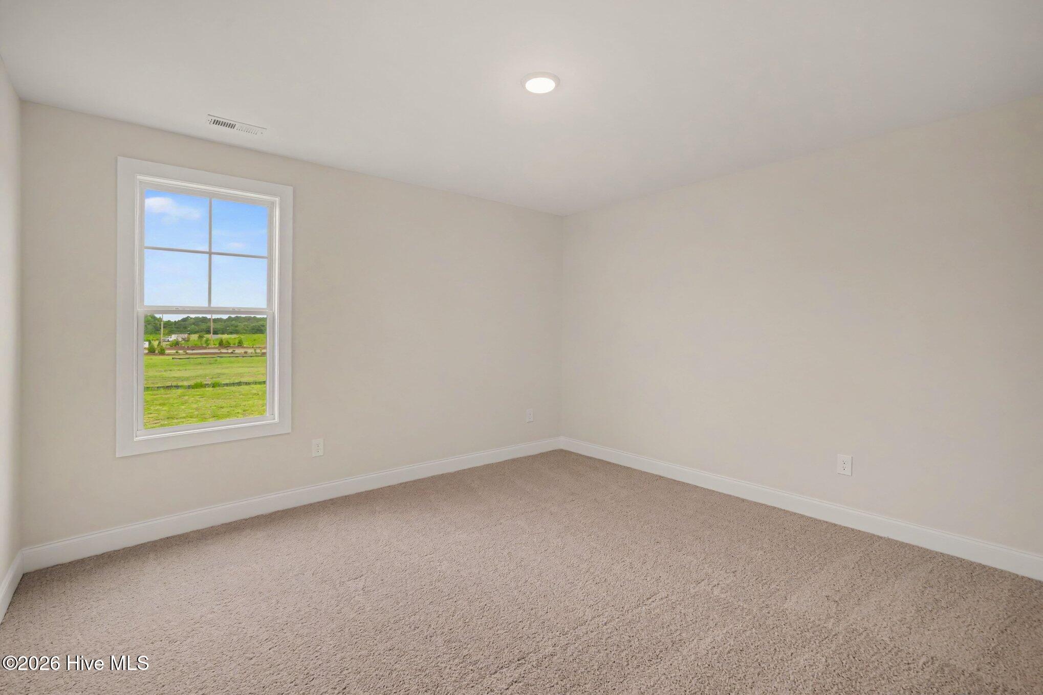 117 Margot Manor Drive Property Photo 29