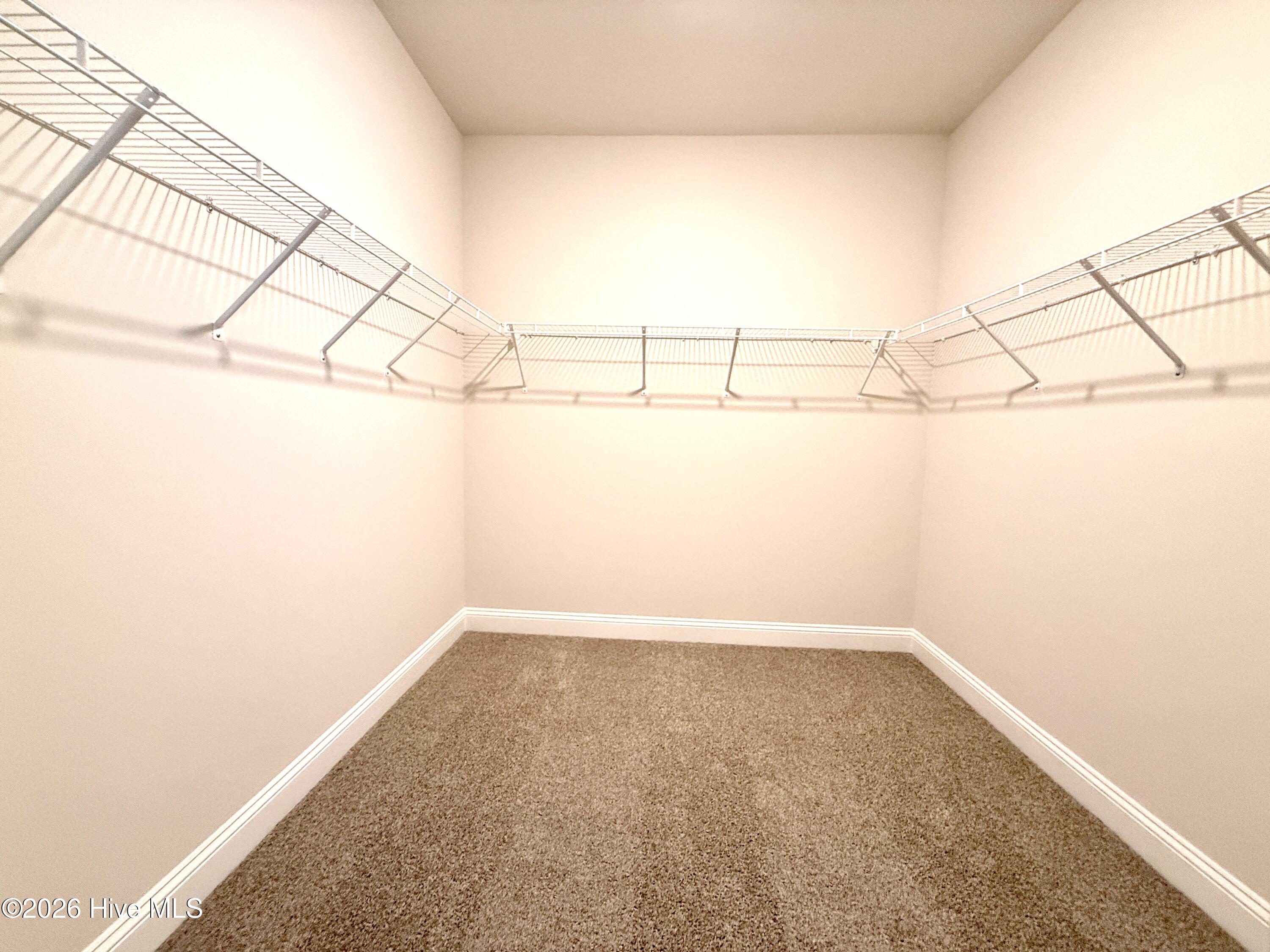 103 Harborwood Street Property Photo 41