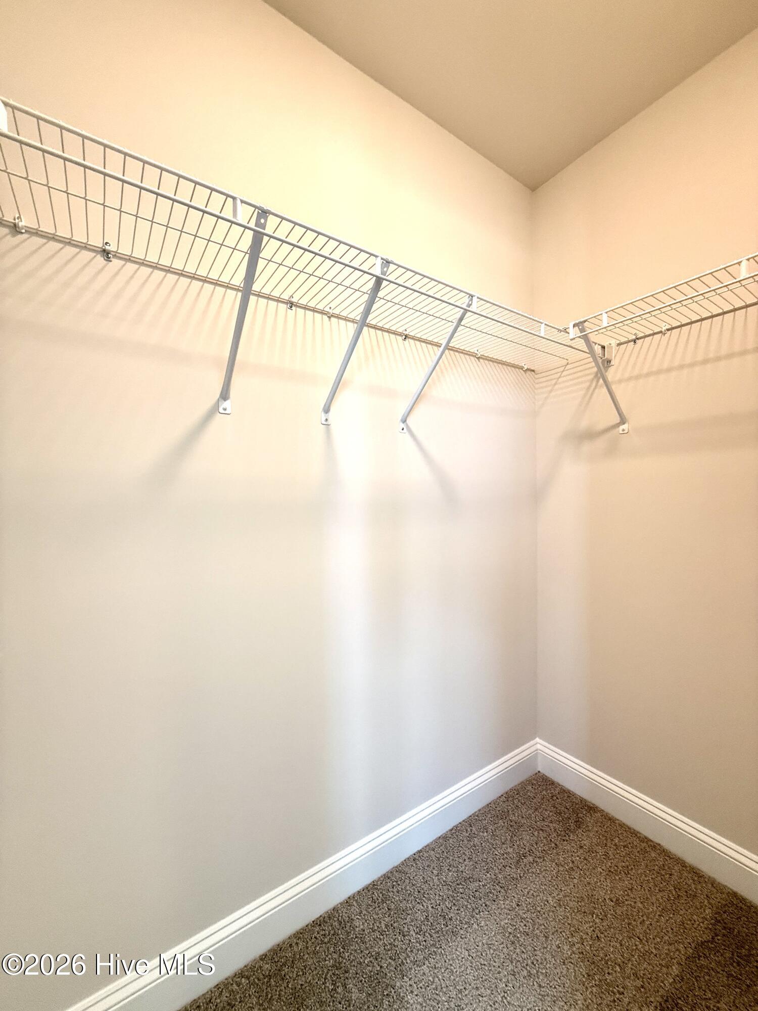 103 Harborwood Street Property Photo 47
