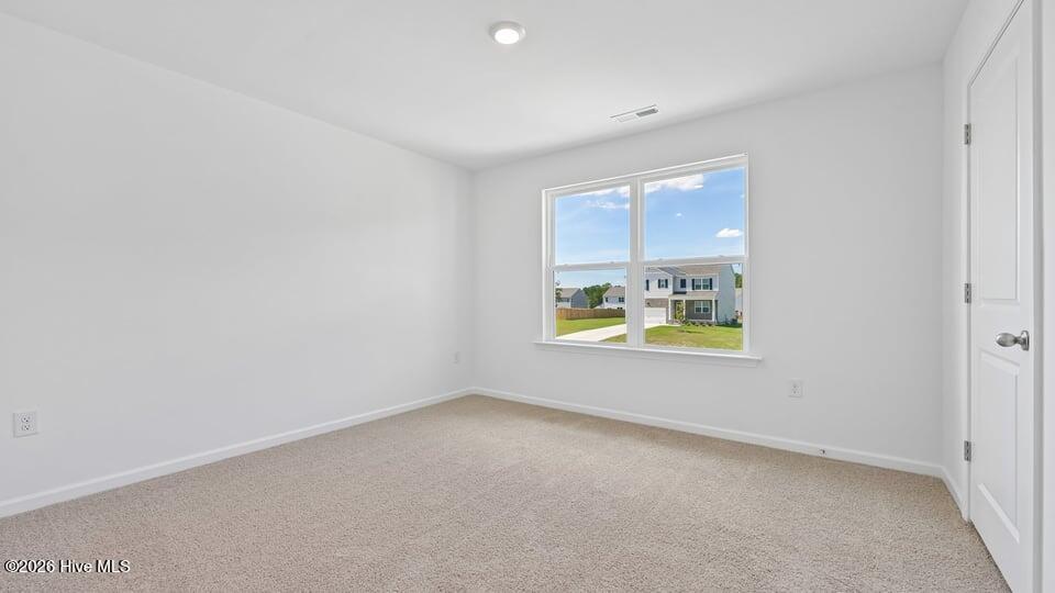 67 Calebs Corner Place Property Photo 18