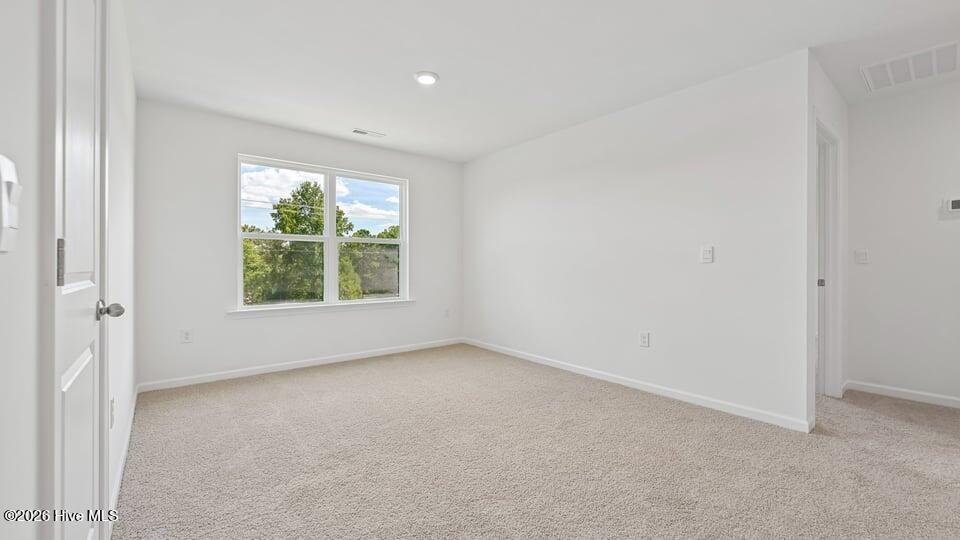 67 Calebs Corner Place Property Photo 19