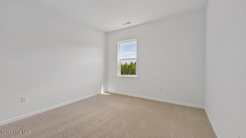 67 Calebs Corner Place Property Photo 22