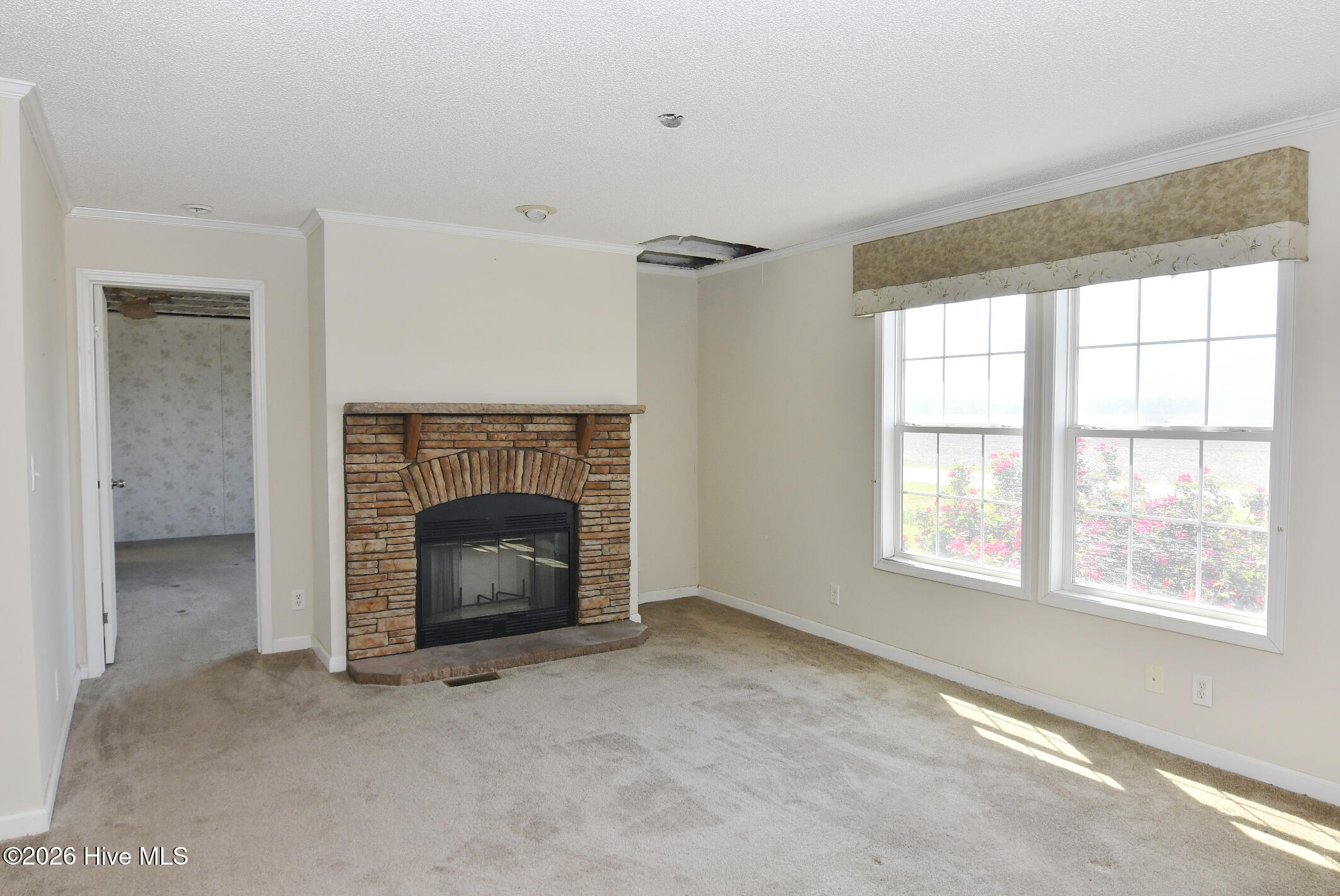 21 Grape Vine Landing Property Photo 2