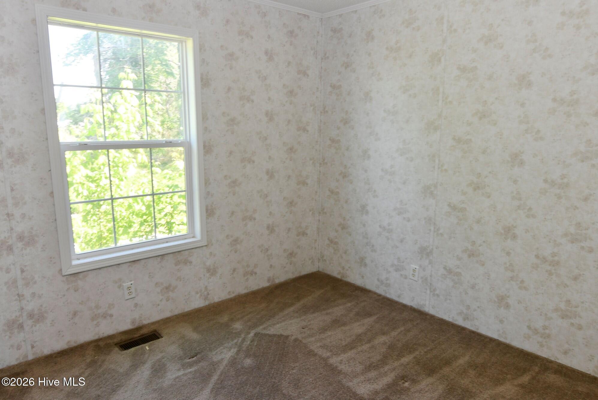 21 Grape Vine Landing Property Photo 16