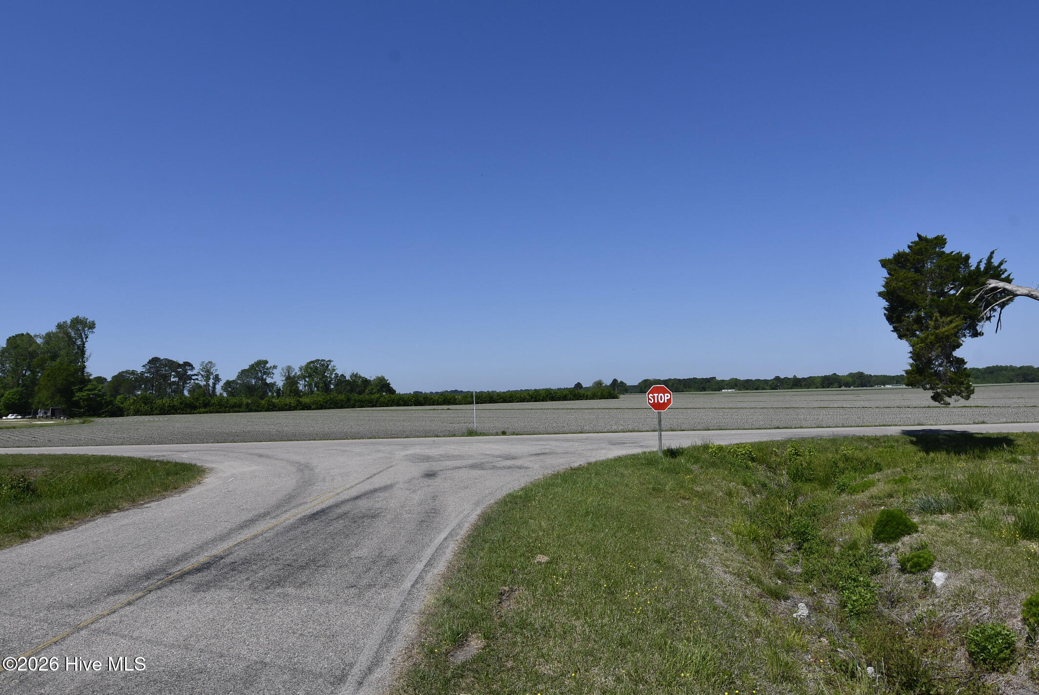 21 Grape Vine Landing Property Photo 20