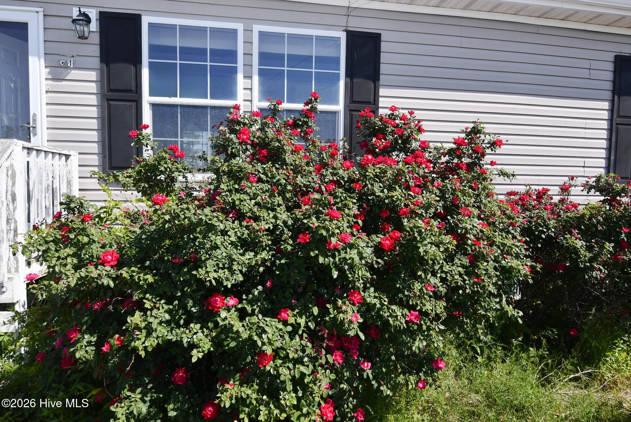 21 Grape Vine Landing Property Photo 24