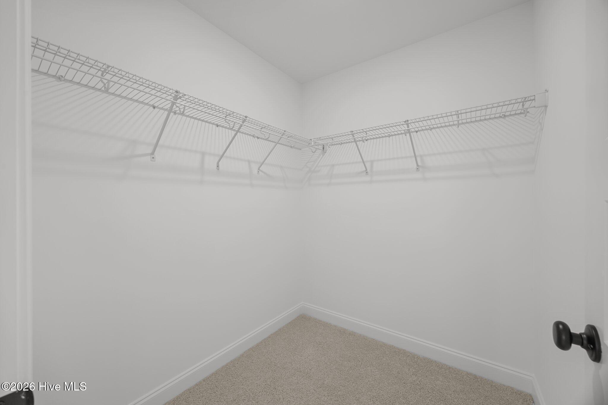 257 Shortleaf Drive Property Photo 36