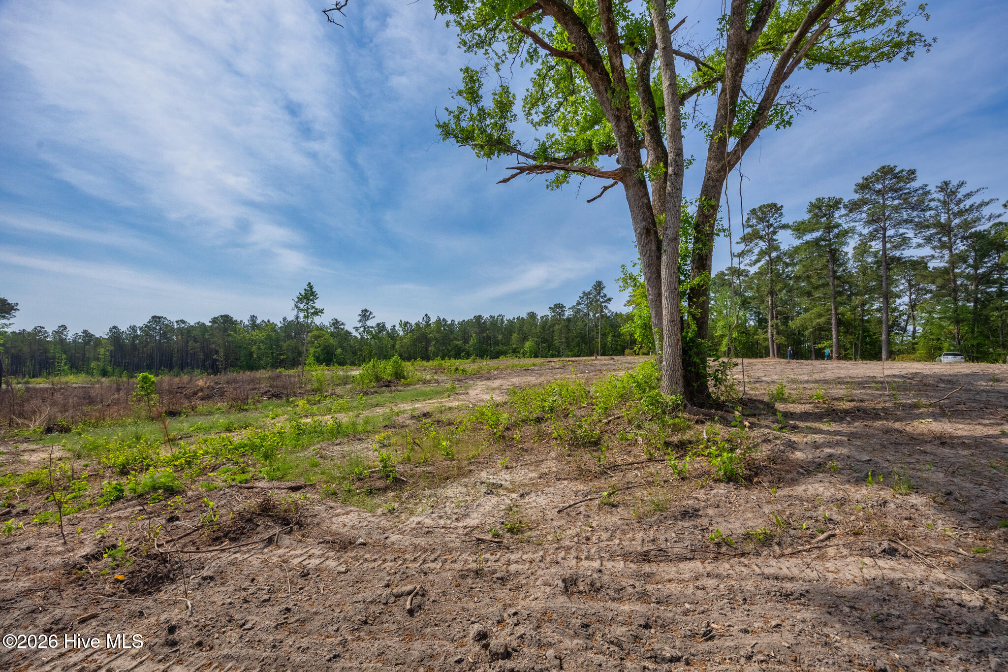 935 1 Mcgill Road Property Photo 6
