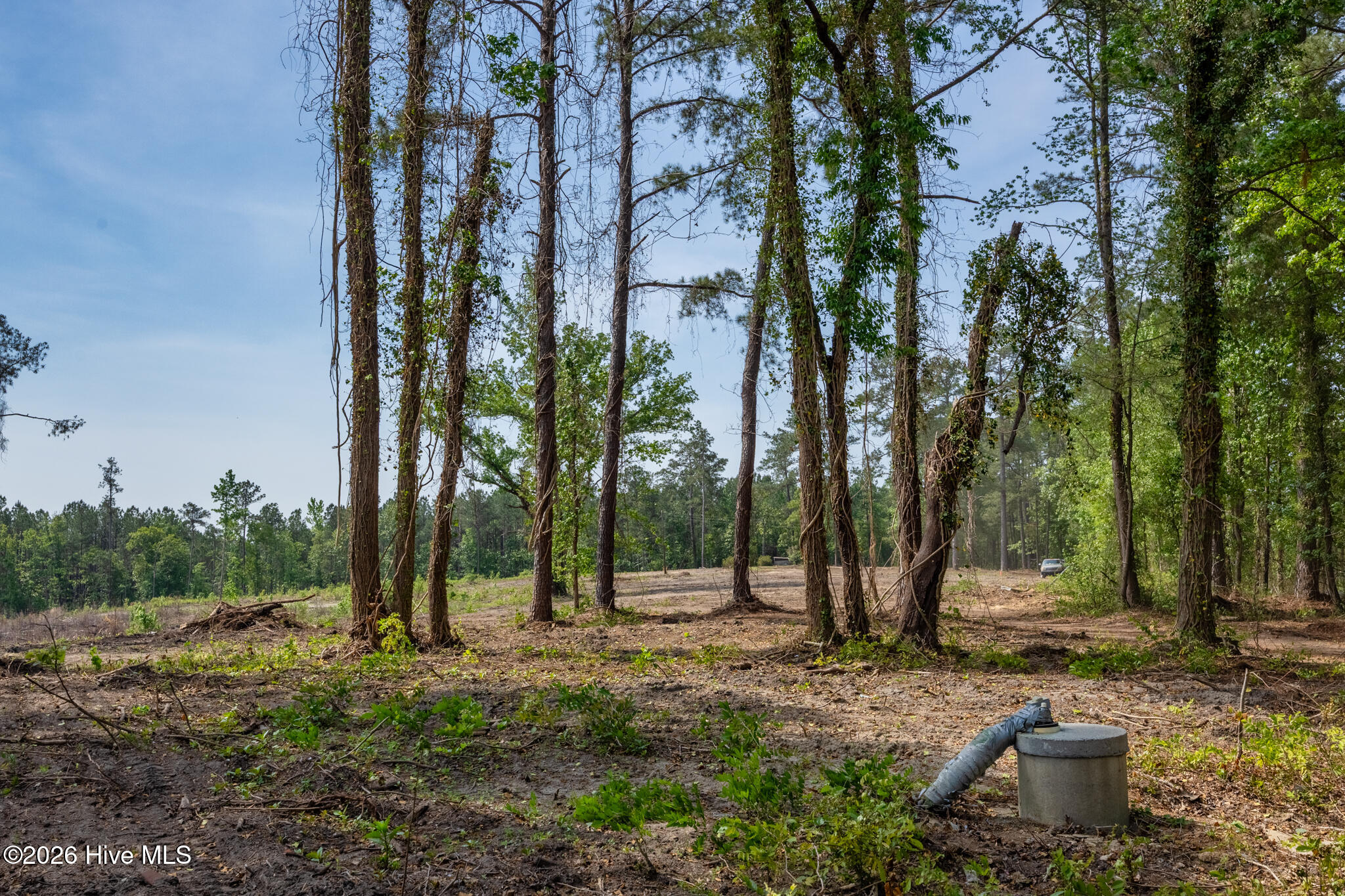 935 1 Mcgill Road Property Photo 7