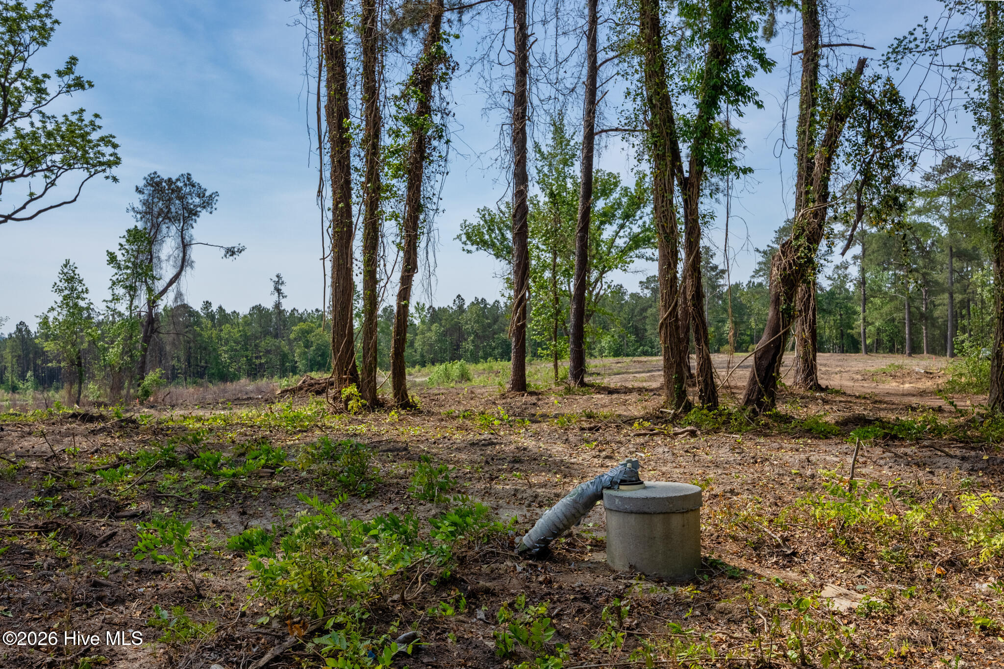 935 1 Mcgill Road Property Photo 8