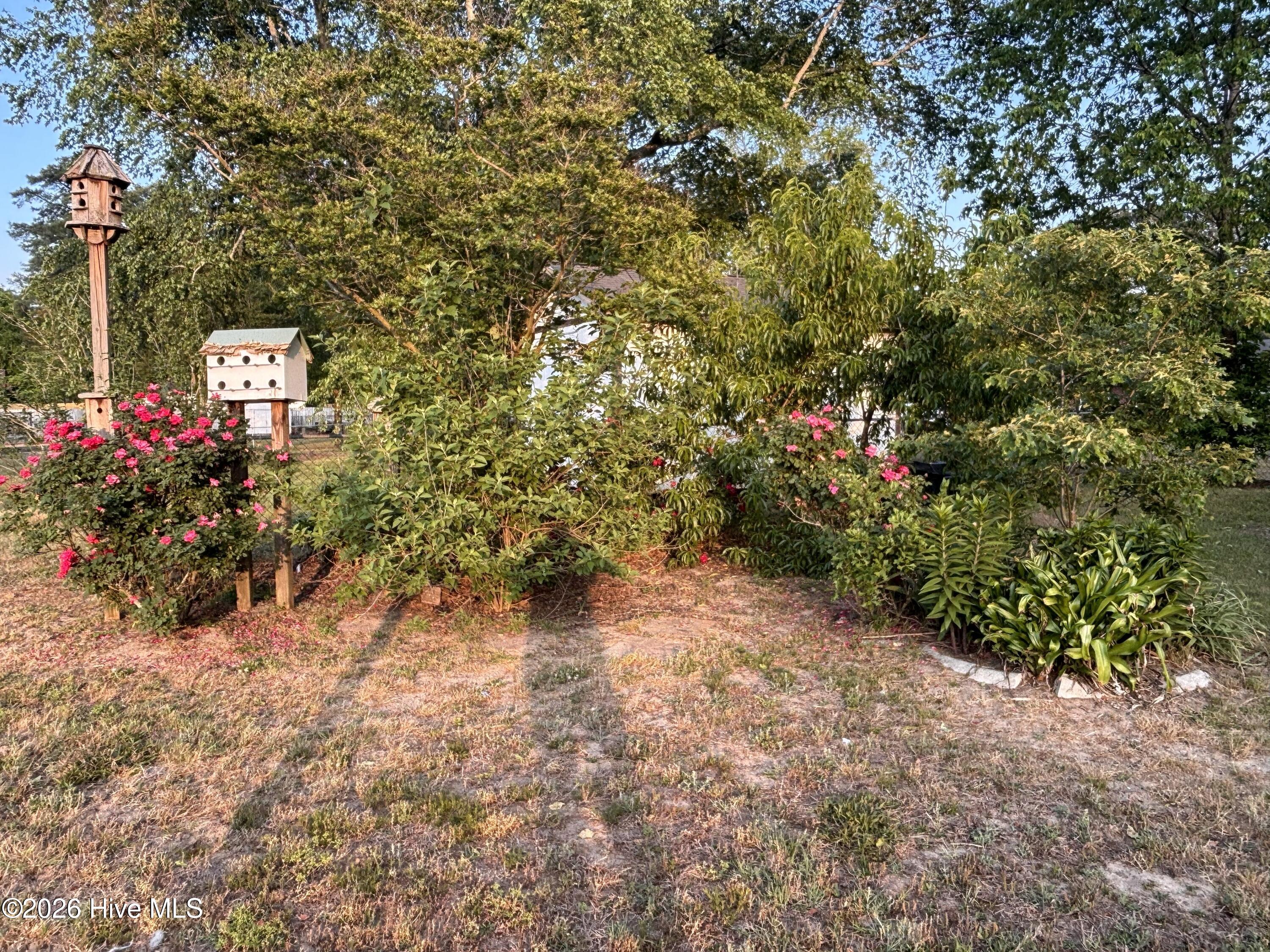 2485 Pine Knoll Drive Property Photo 6