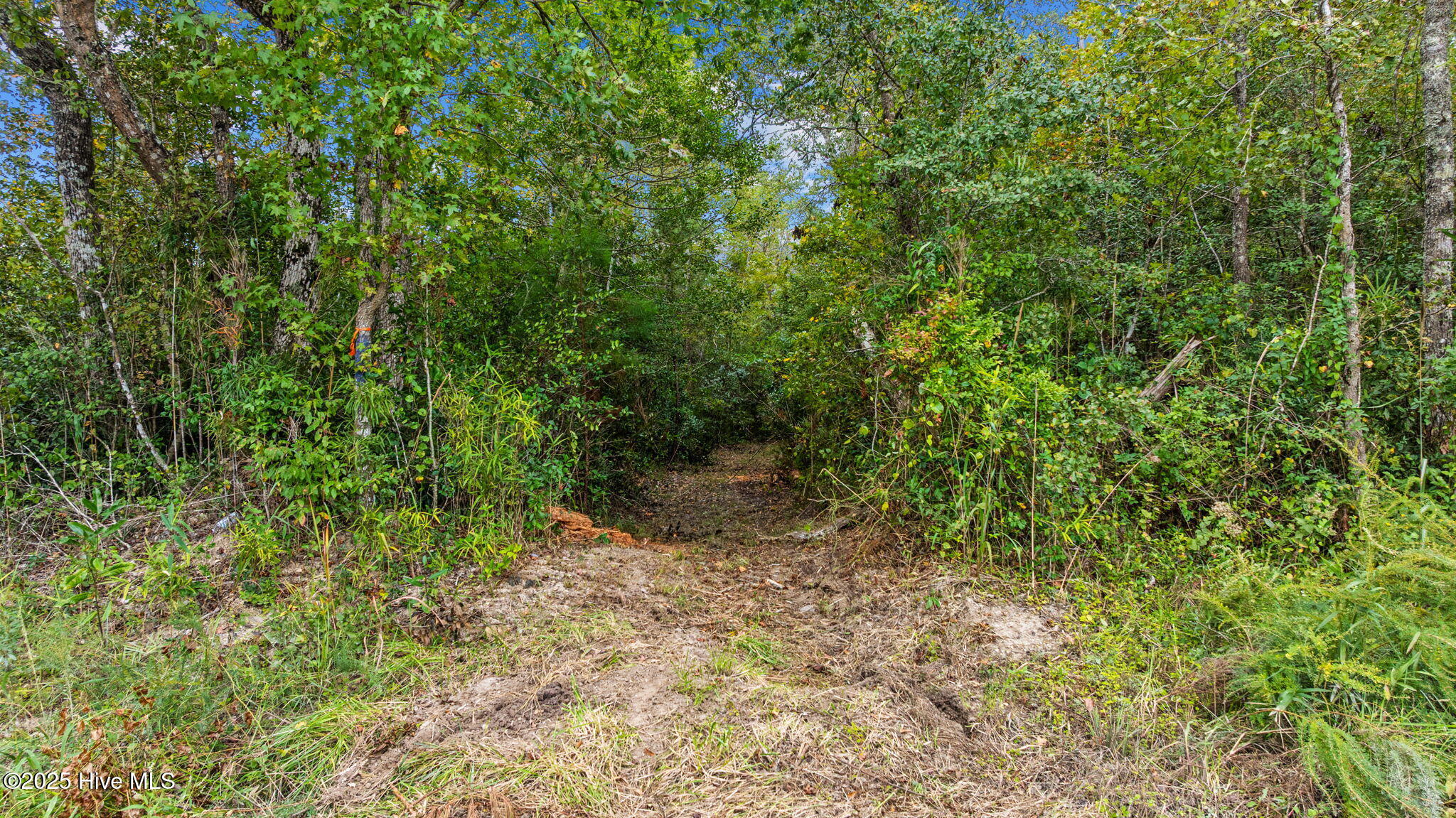 36ac Near 323 Indigo Flats Road W Property Photo 6