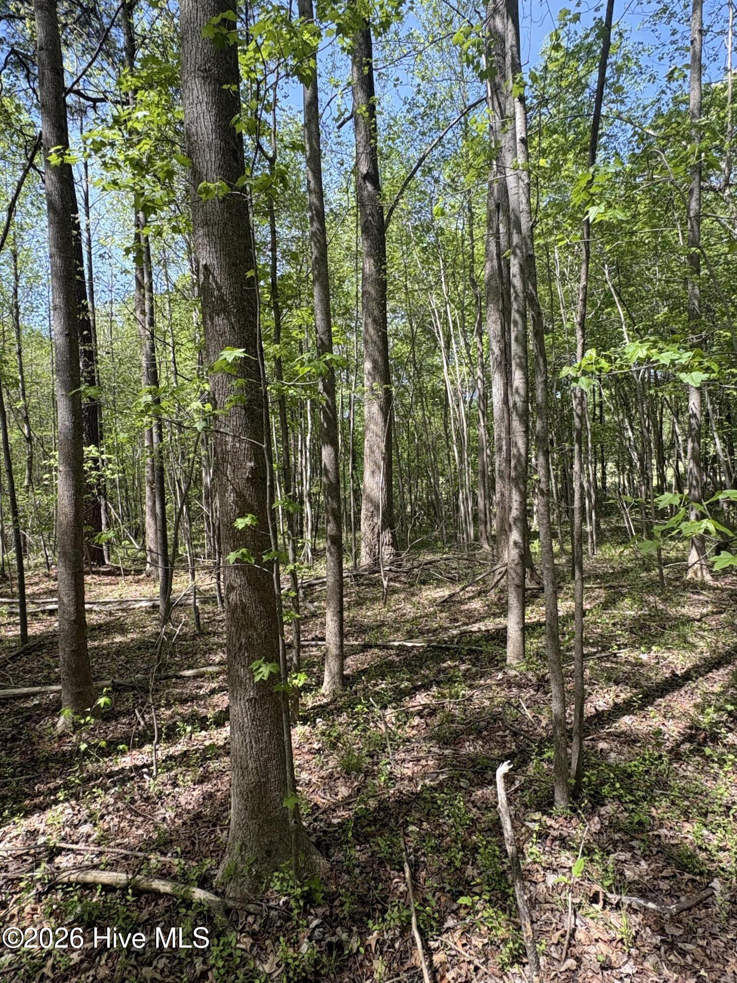 7818-1 Mcgregor Road Property Photo 6