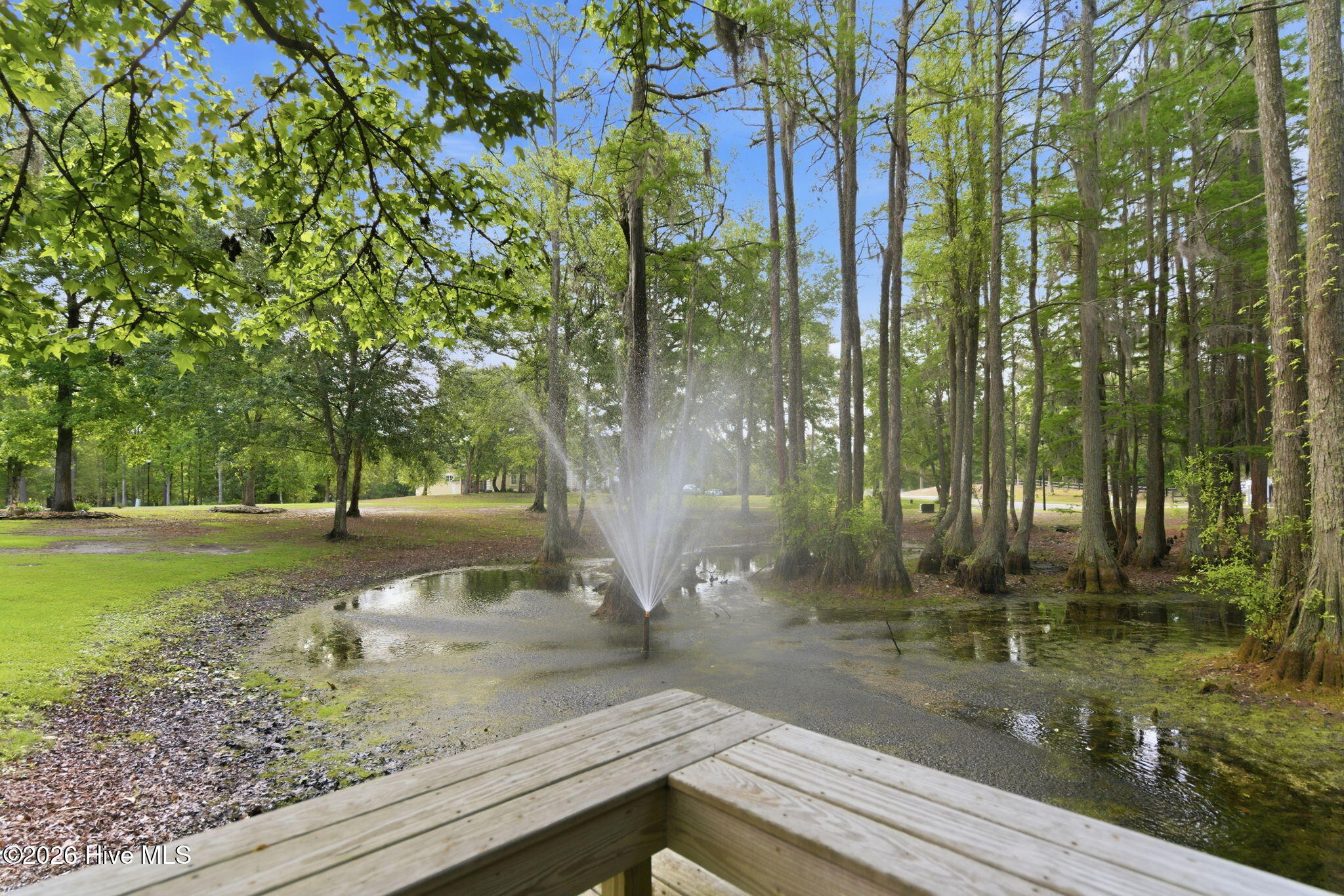 410 Whitebridge Road Property Photo 73