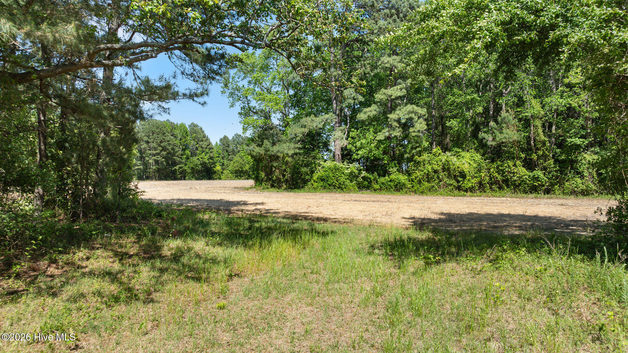 000 N Nc-111 / Patetown Road Property Photo 8
