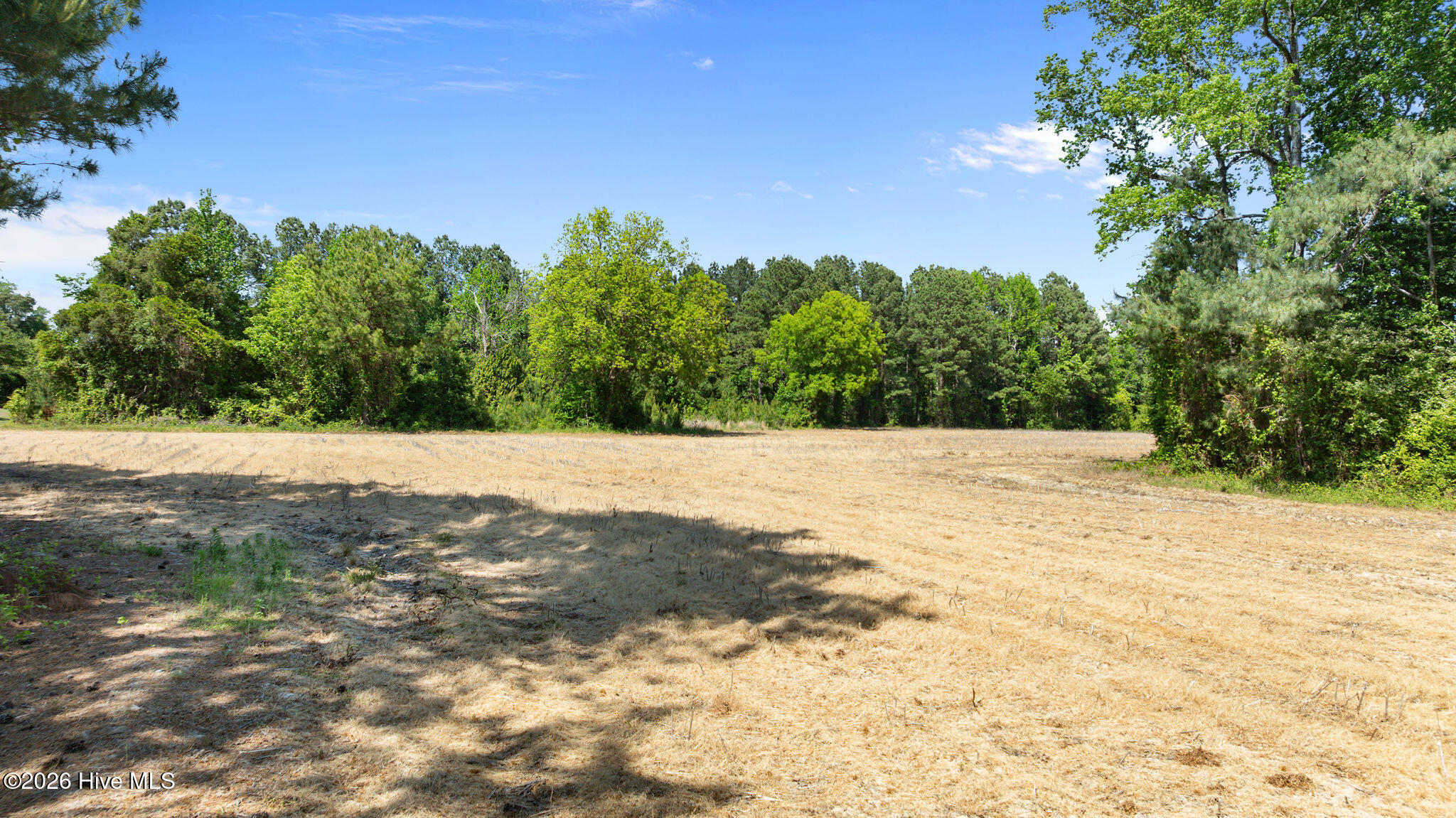 000 N Nc-111 / Patetown Road Property Photo 9