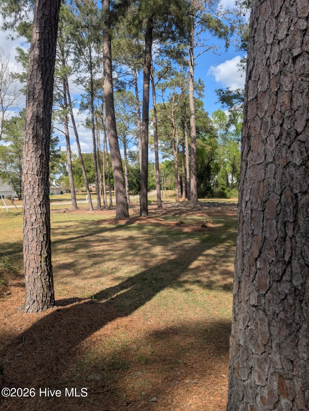 301 Fork Lake Drive Property Photo 13