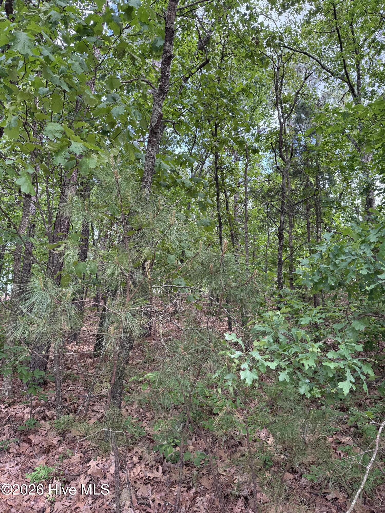 148 4177 Otter Drive Property Photo 2